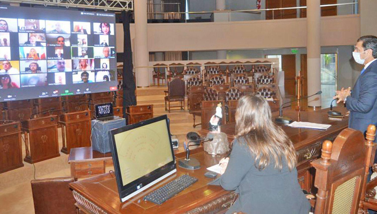 Diputados realizoacute su primera sesioacuten ordinaria en modalidad virtual