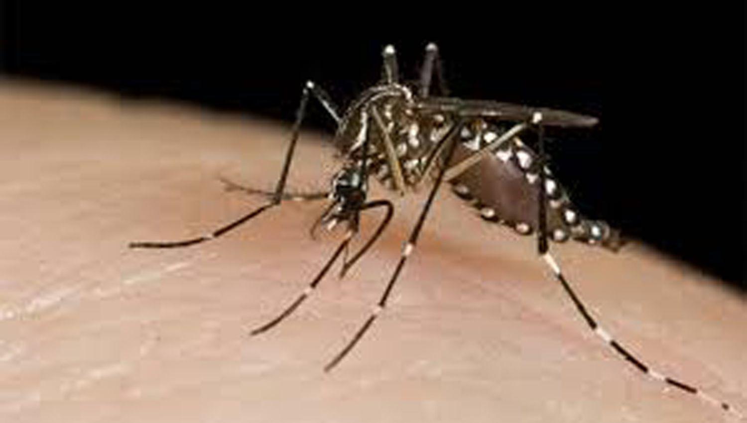 El Ministerio de Salud informoacute que hay casi mil casos de dengue confirmado en la provincia