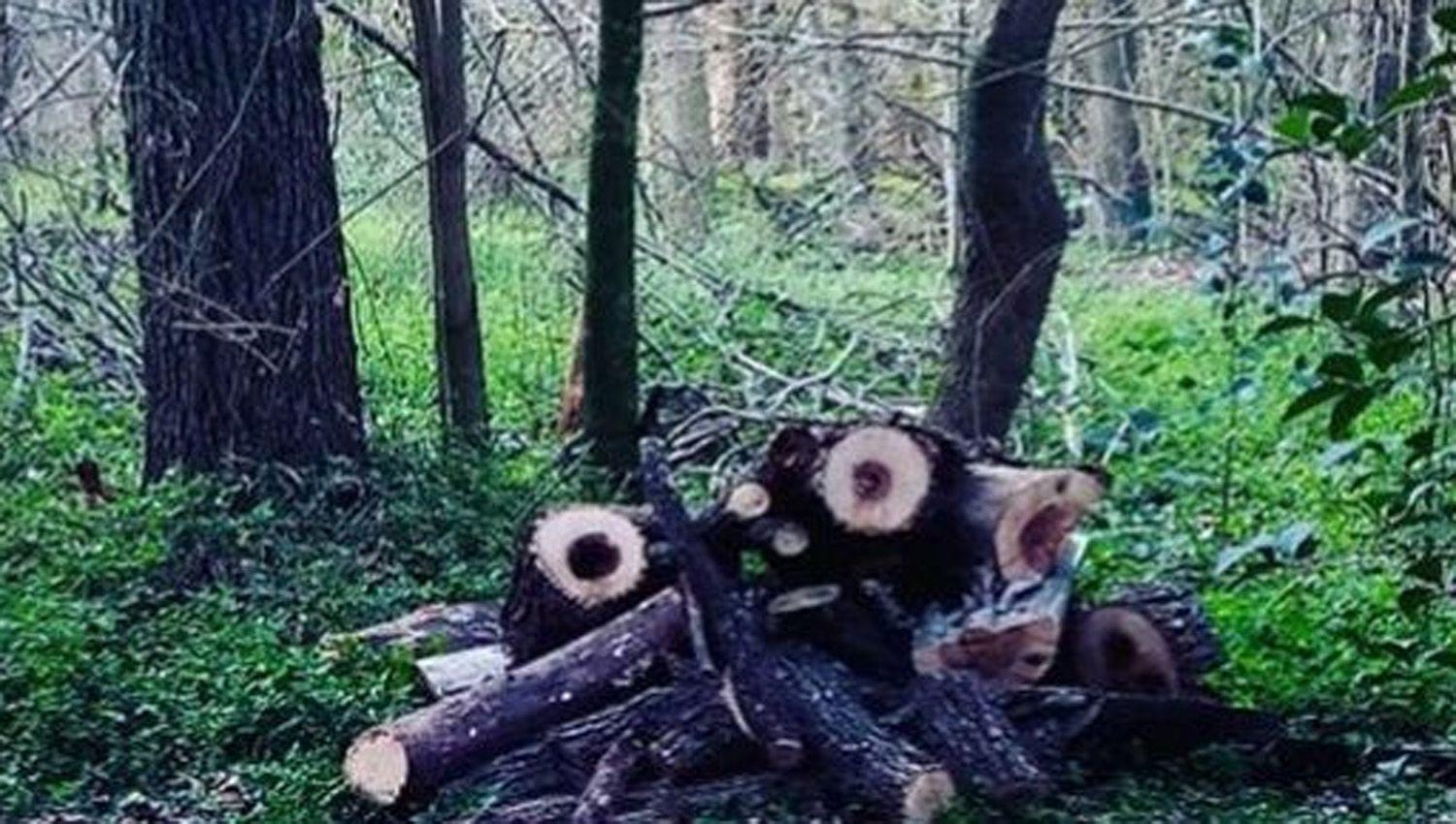 Fue a juntar lentildea y cuando regresoacute a su casa lo amenazaron de muerte