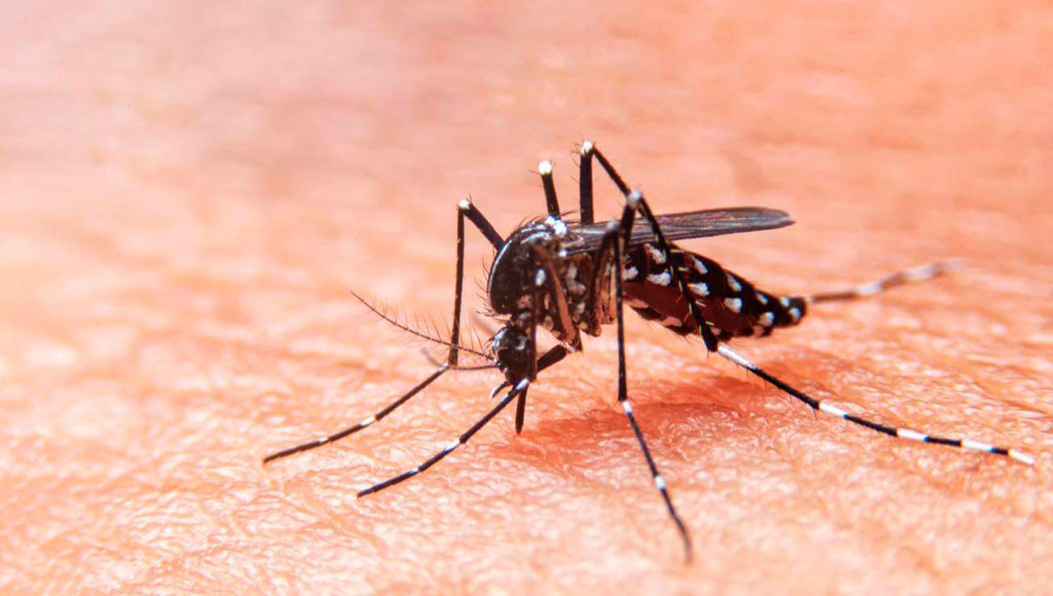 Dengue- reporte diario de la situacioacuten en Santiago del Estero