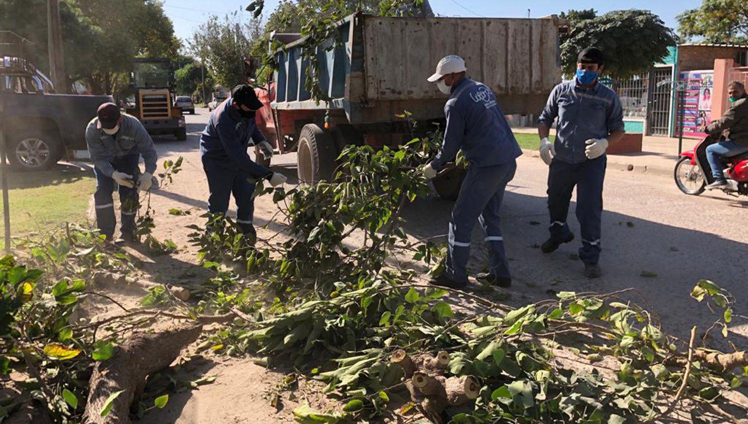 El personal municipal continuó con el levantamiento de ramas en distintos sectores de la ciudad