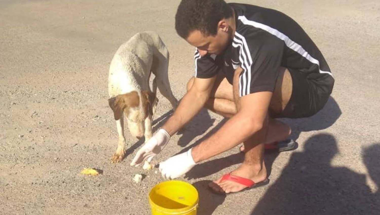 VIDEO  Estudiante de veterinaria le practicoacute maniobras de reanimacioacuten a un perro y lo salvoacute