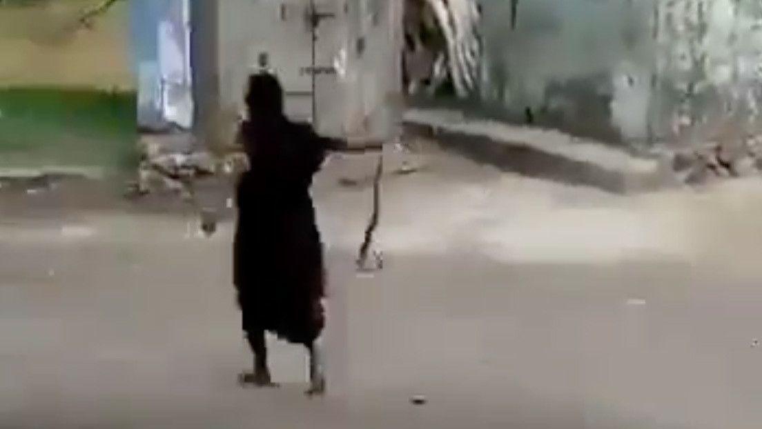 VIDEO- abuela saca a pasear una cobra con sus propias manos