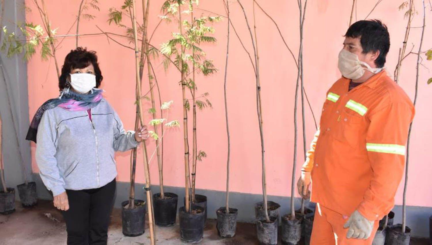 La Capital avanza con su programa de arbolado urbano