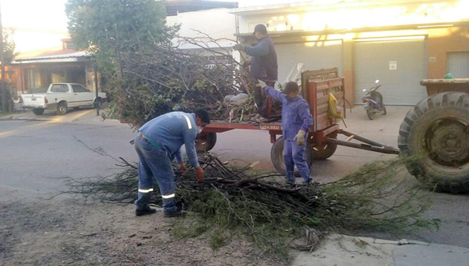 Personal de la comuna refuerza los trabajos de fumigacioacuten y desinfeccioacuten en diferentes sectores