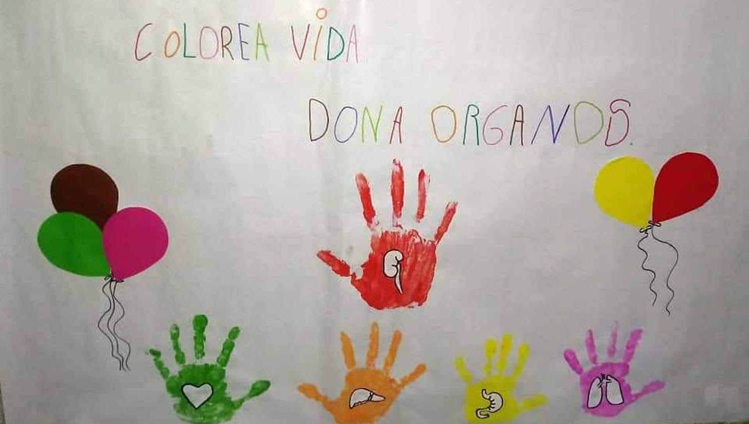 VIDEO  Con frases dibujos y videos la gente le dijo siacute a la campantildea de donacioacuten de oacuterganos de Apuvim Friacuteas