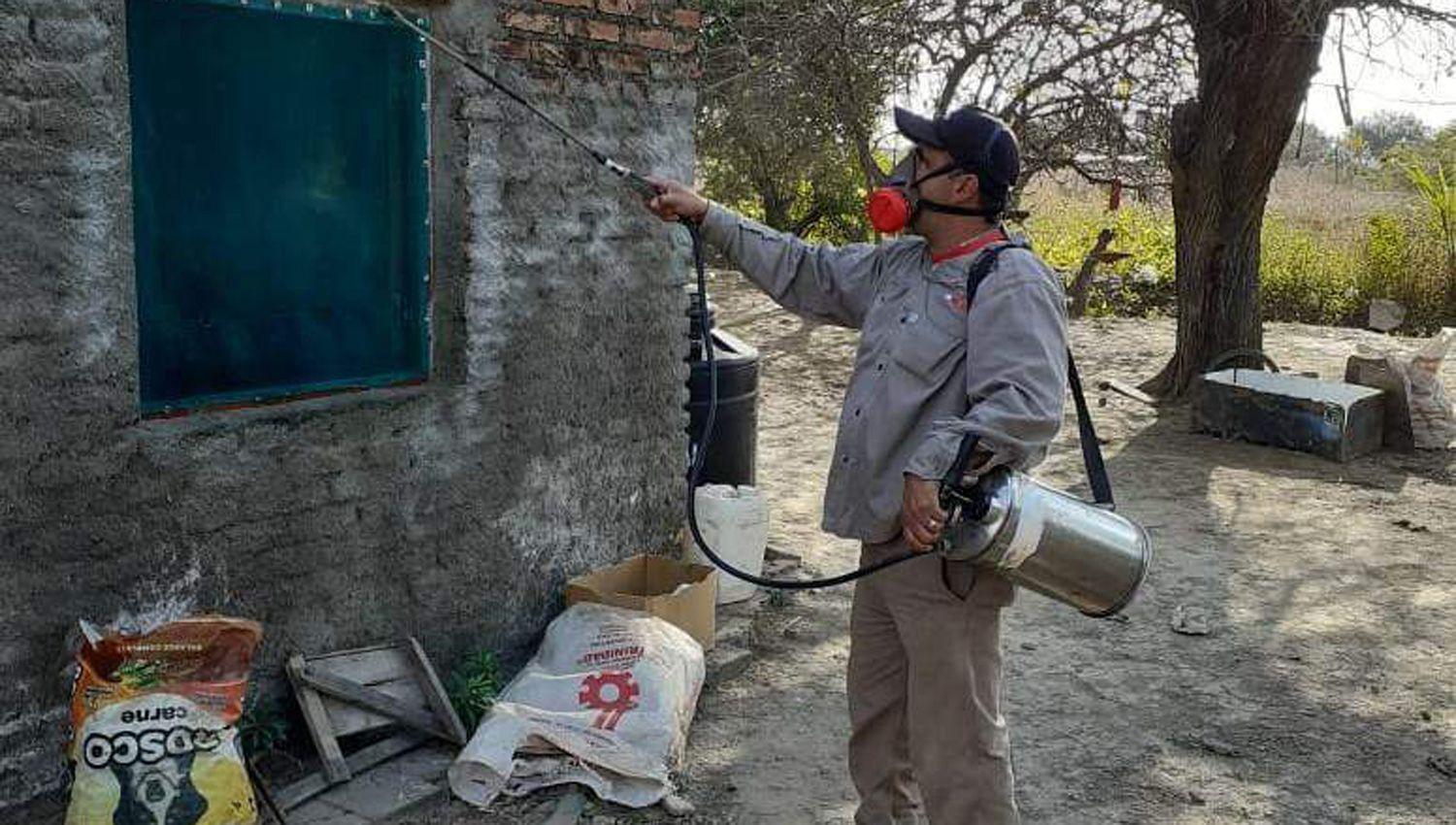 Fuerte campantildea contra el dengue y el Mal de Chagas en Antajeacute