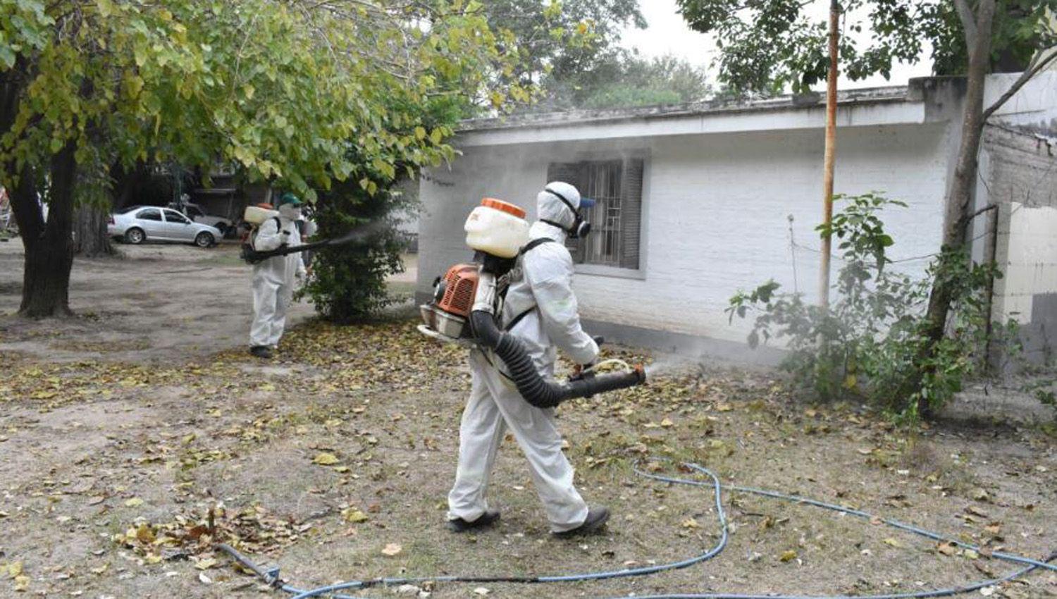 La comuna capitalina continuoacute con los operativos de fumigacioacuten