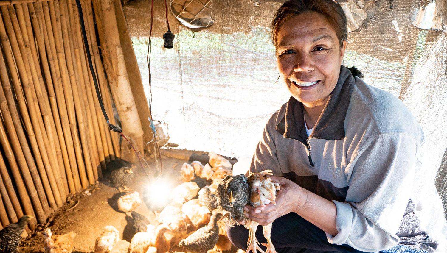 Lanzan convocatorias por 61 millones de euros para financiar proyectos en el paiacutes