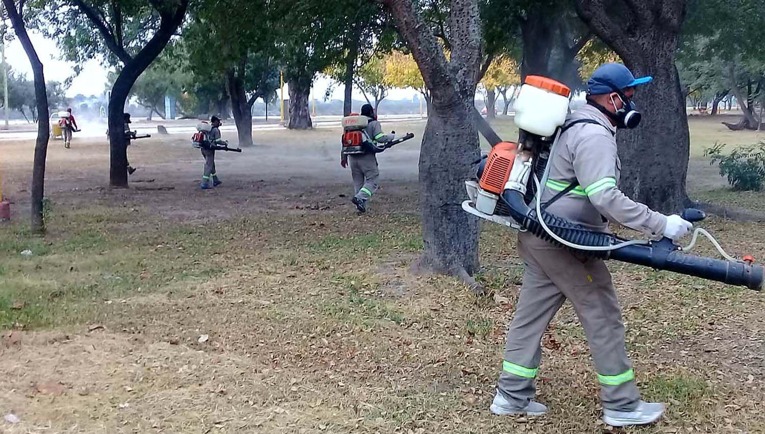 El municipio capitalino realizoacute una intensa tarea de fumigacioacuten en el parque Aguirre