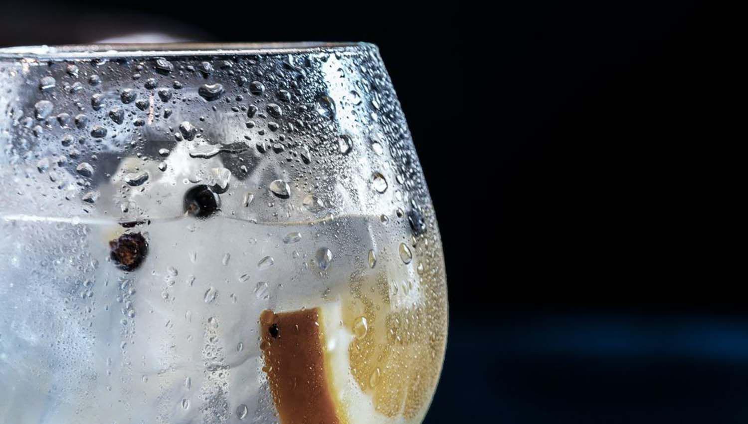 Gin tonic el coacutectel ideal para esta fase de la cuarentena- coacutemo hacerlo en casa