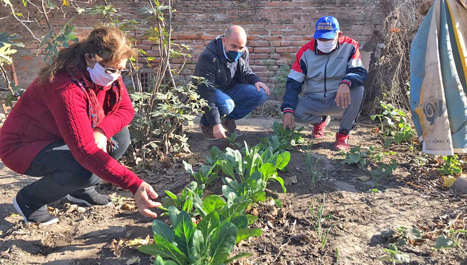 La huerta familiar es una buena alternativa para cosechar alimentos en tiempos de pandemia