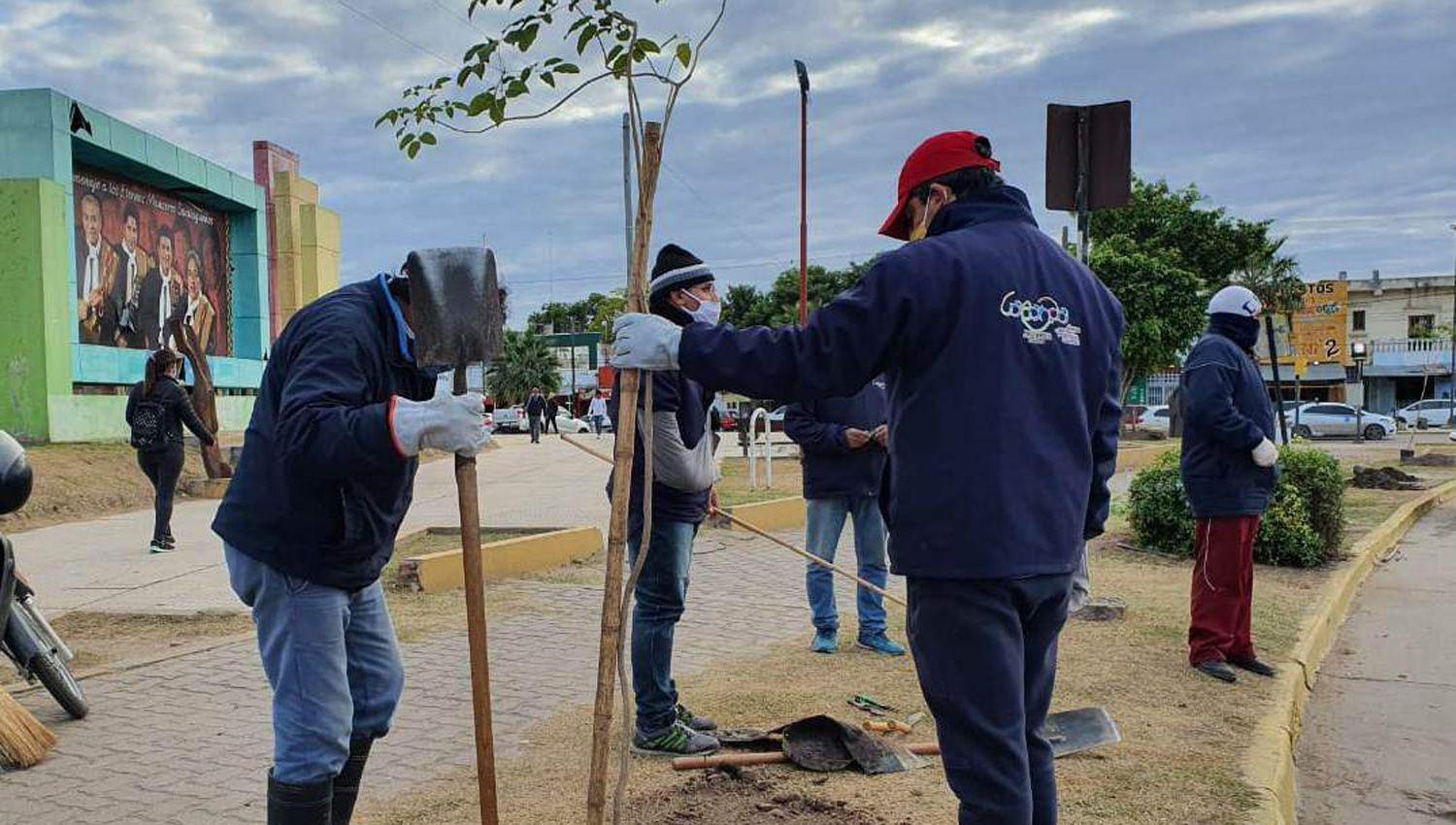 La comuna bandentildea continuacutea con el plan de reforestacioacuten con lapachos y brachos en distintos sectores