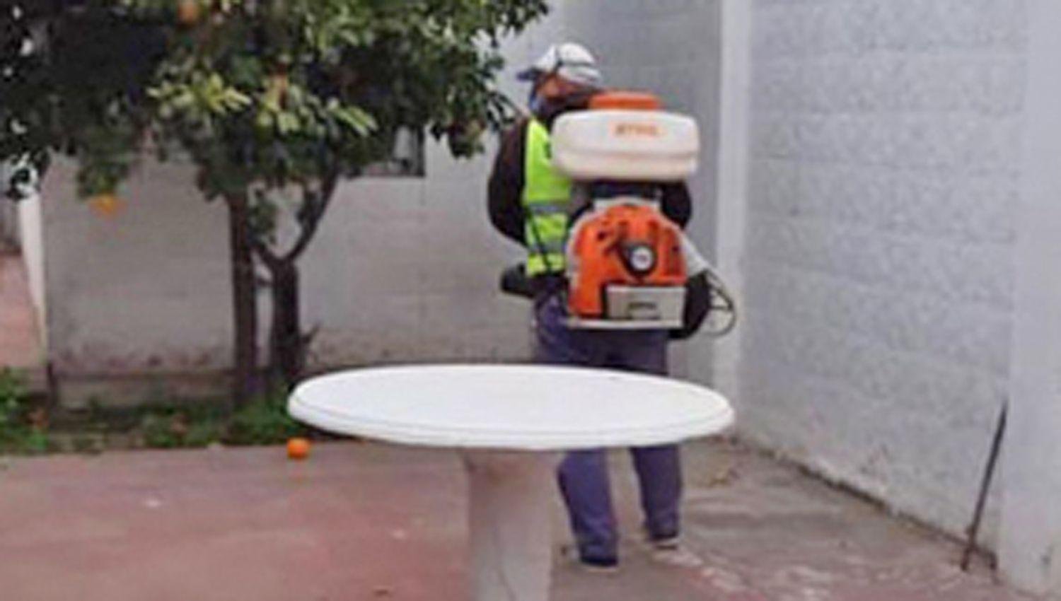 Aconsejan mantener la prevencioacuten contra el dengue