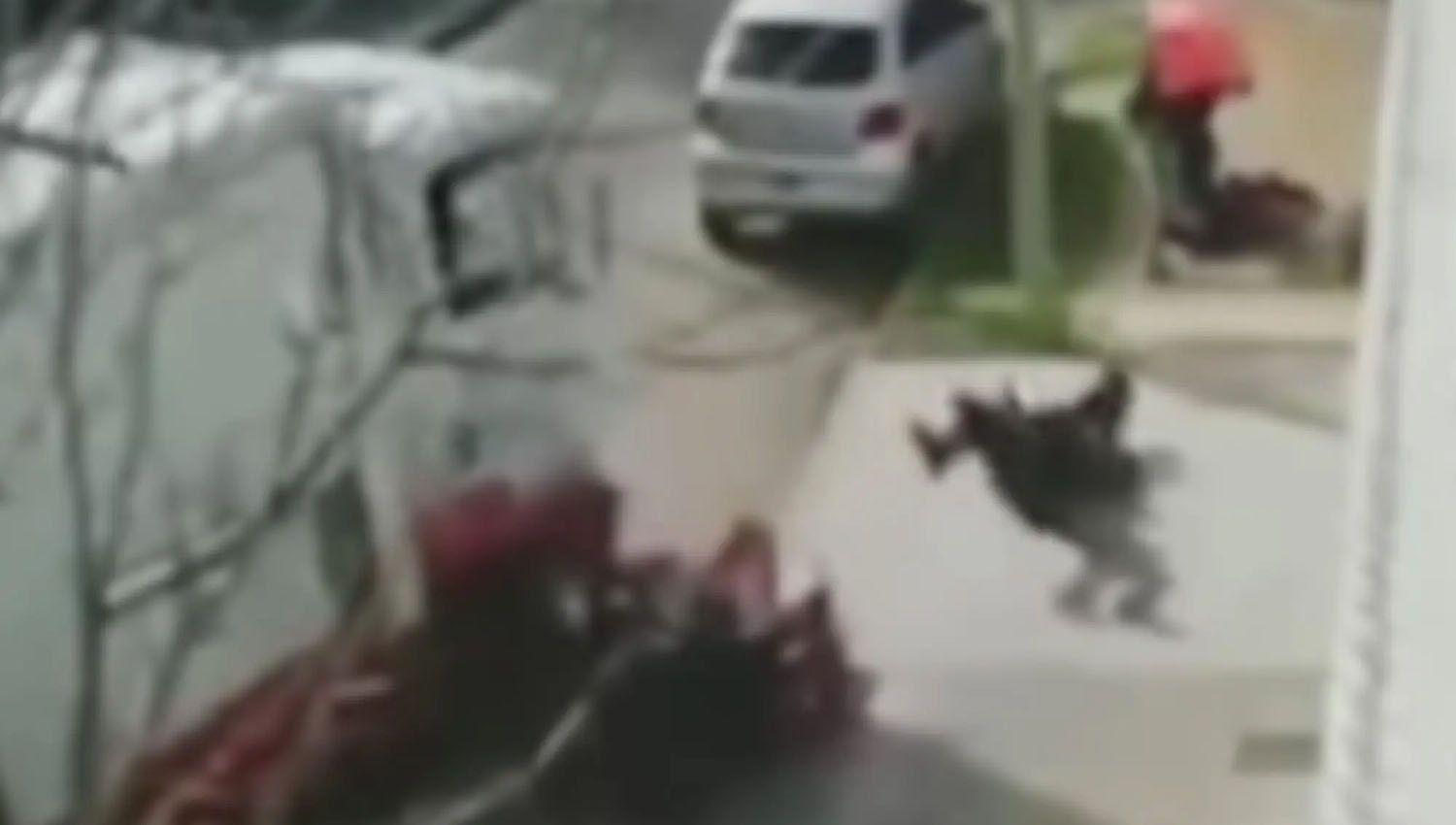 VIDEO  Soderos atropellaron con su camioacuten a motochorros y salvaron a una mujer