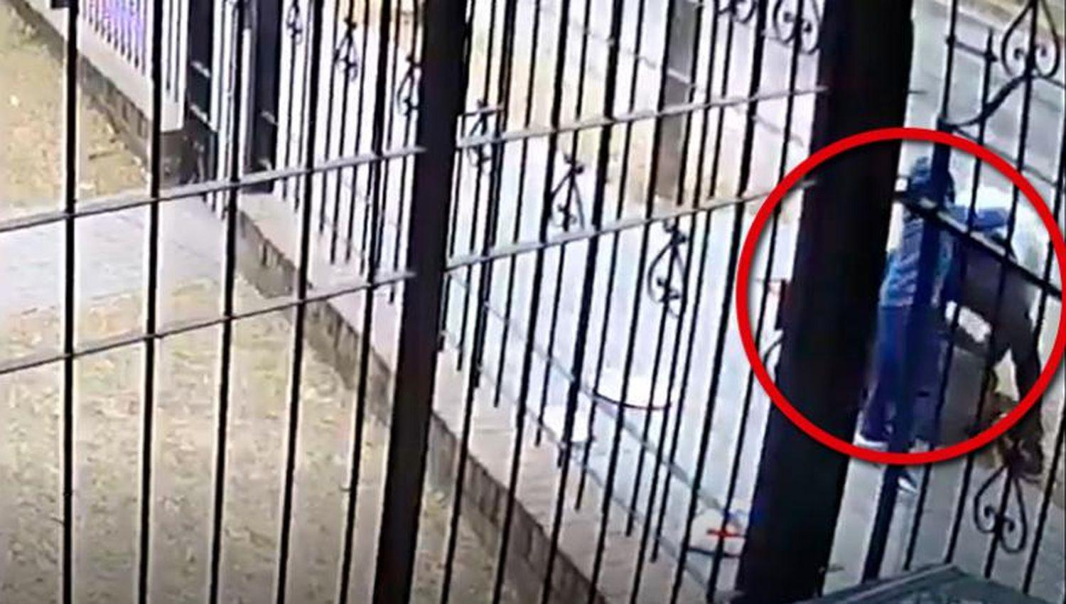 VIDEO  Un nene de cinco antildeos defendioacute a su madre del ataque de un ladroacuten