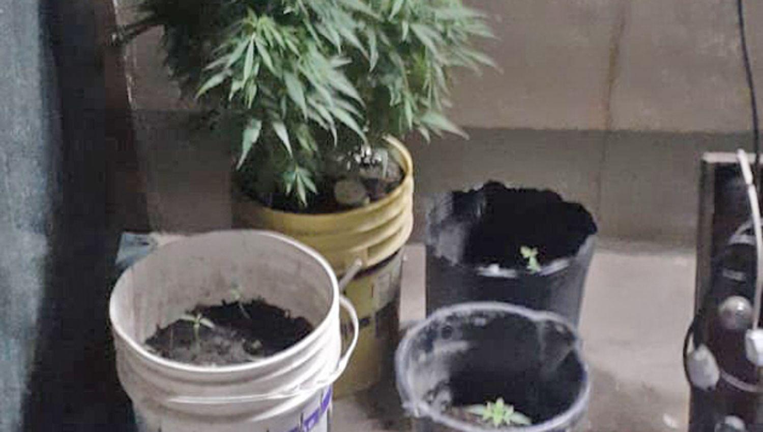 El supuesto comerciante narco fue detenido en la vía p�blicacuando circulaba en un automóvil