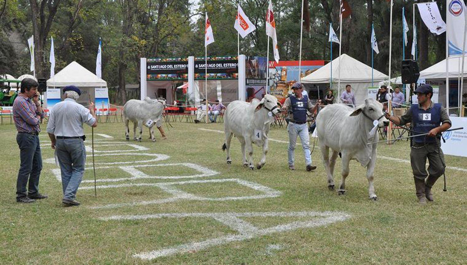 Se suspendioacute la edicioacuten 2020 de ExpoBra