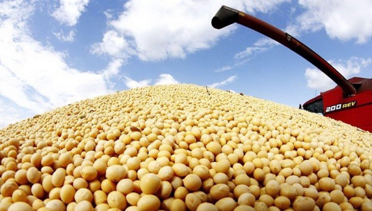 La BCC detalló que la campaña 201920 fue 52-en-porciento- mayor que el promedio histórico dela �ltima década