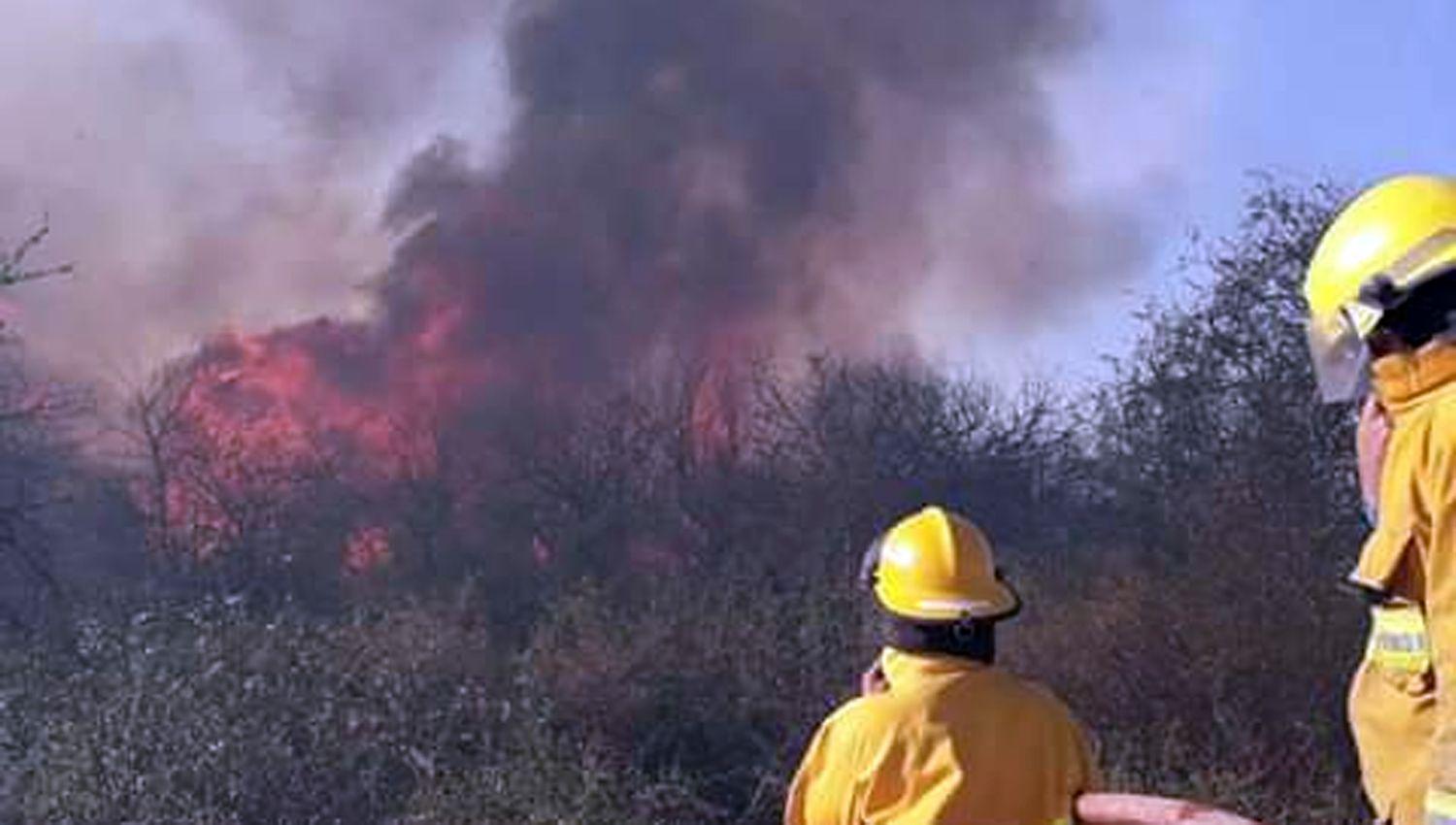 Sendos incendios forestales alertaron a la poblacioacuten en Clodomira