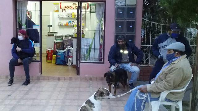 Nueva jornada de castracioacuten de mascotas en Clodomira
