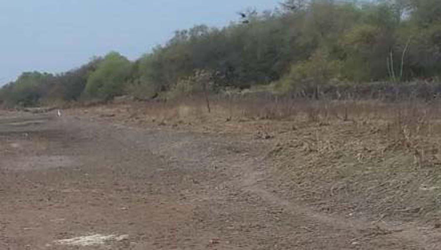 Productores loretanos jaqueados por la falta de agua en el riacuteo Namby