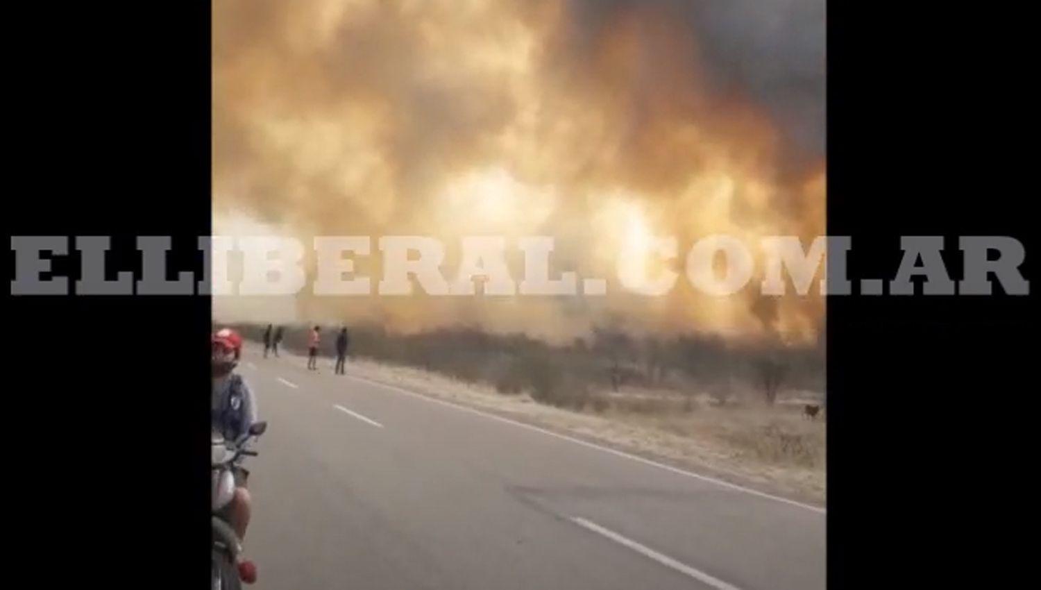 VIDEO  Incendios de campos cercan a una localidad del departamento Salavina
