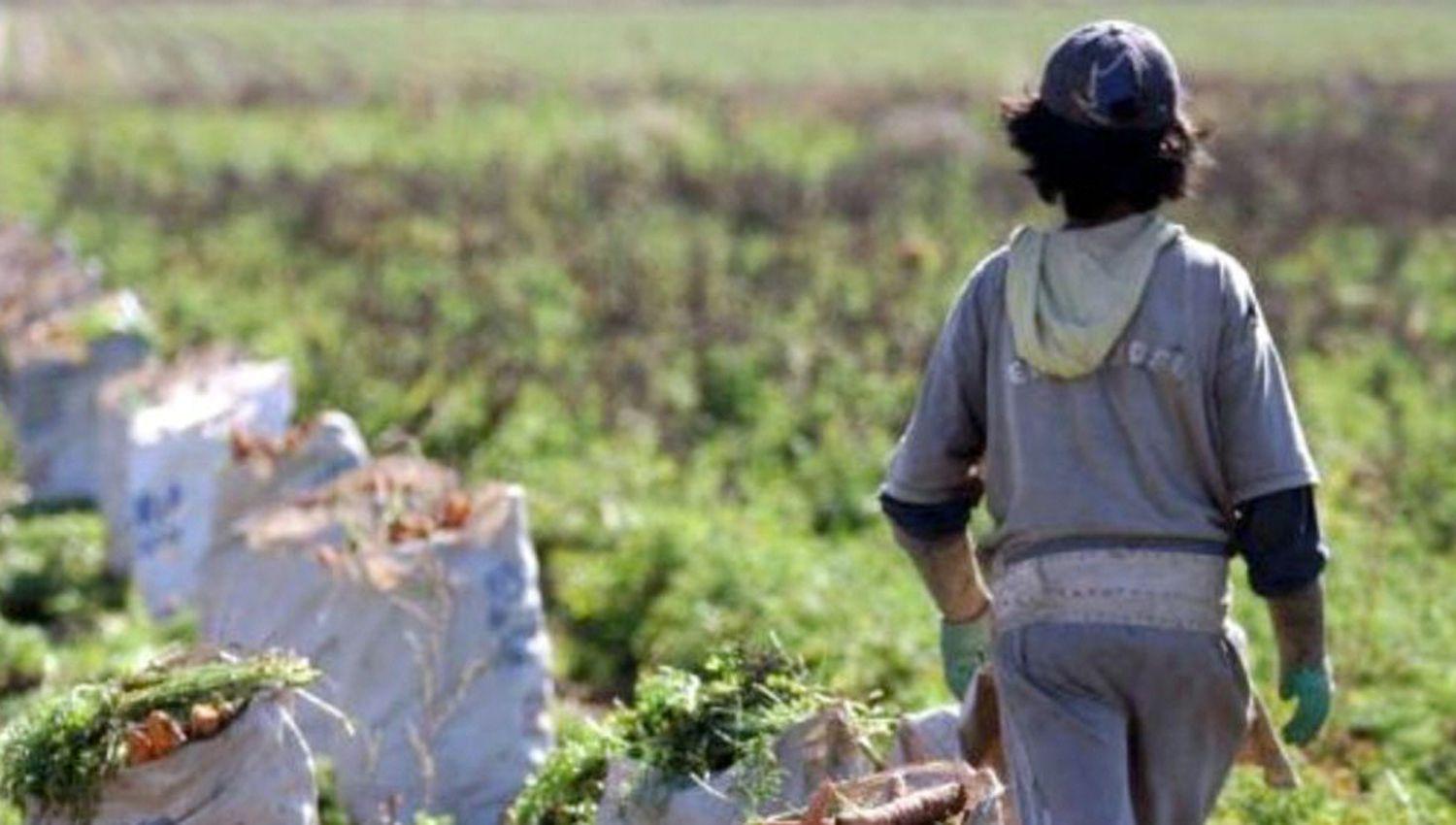 El trabajo infantil configura una clara violación a las normas laborales y tratados internacionales