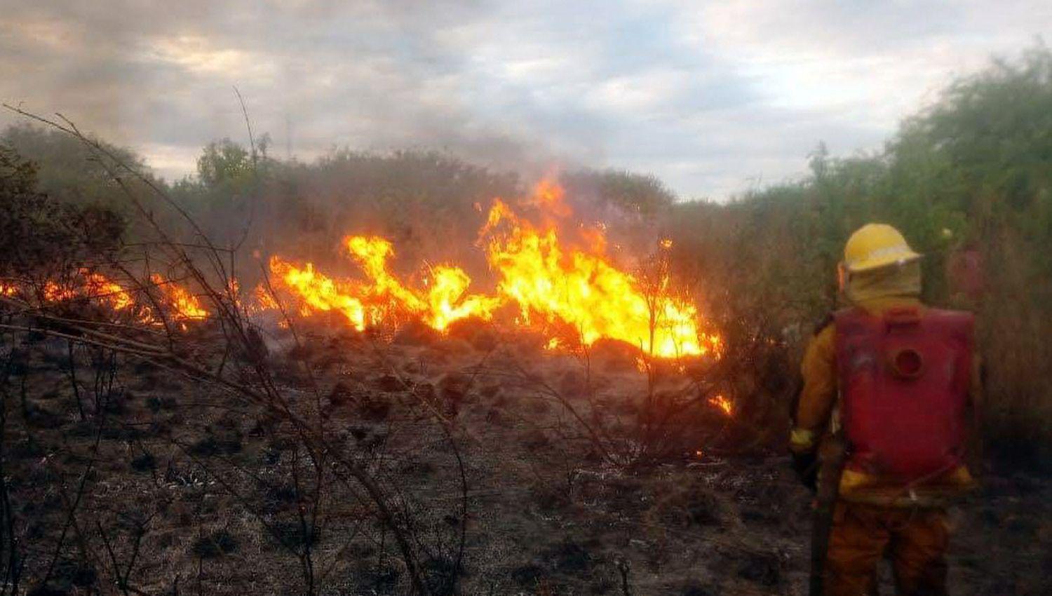 Piden adoptar medidas de seguridad para evitar los incendios forestales