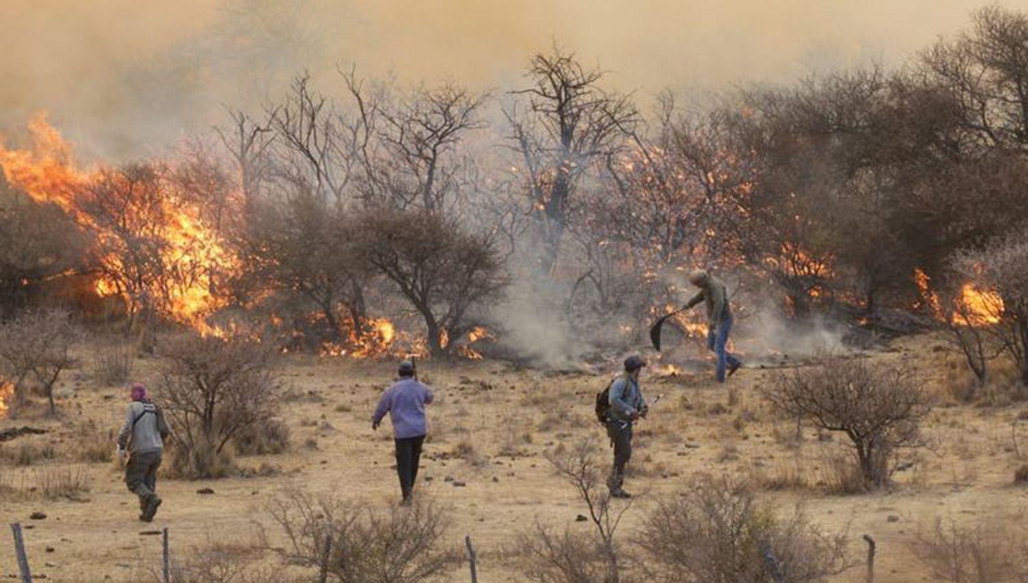 Continuacutea la lucha contra muacuteltiples incendios forestales en Coacuterdoba