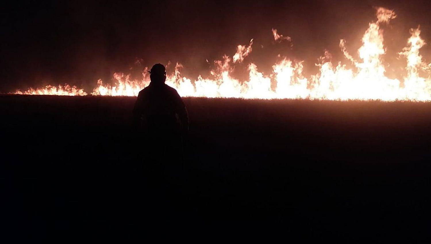 Incendios forestales- ldquoSantiago es un papel donde toda quema representa un gran riesgordquo