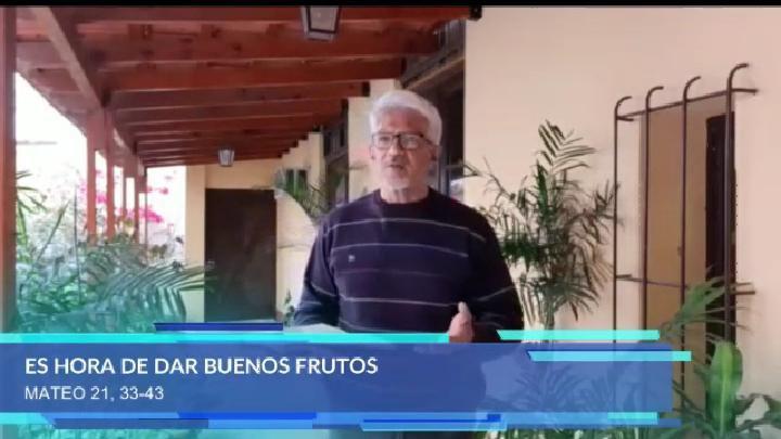 VIDEO  Padre Jorge Ramiacuterez- ldquoNo te quedes llorando por los racimos amargosrdquo
