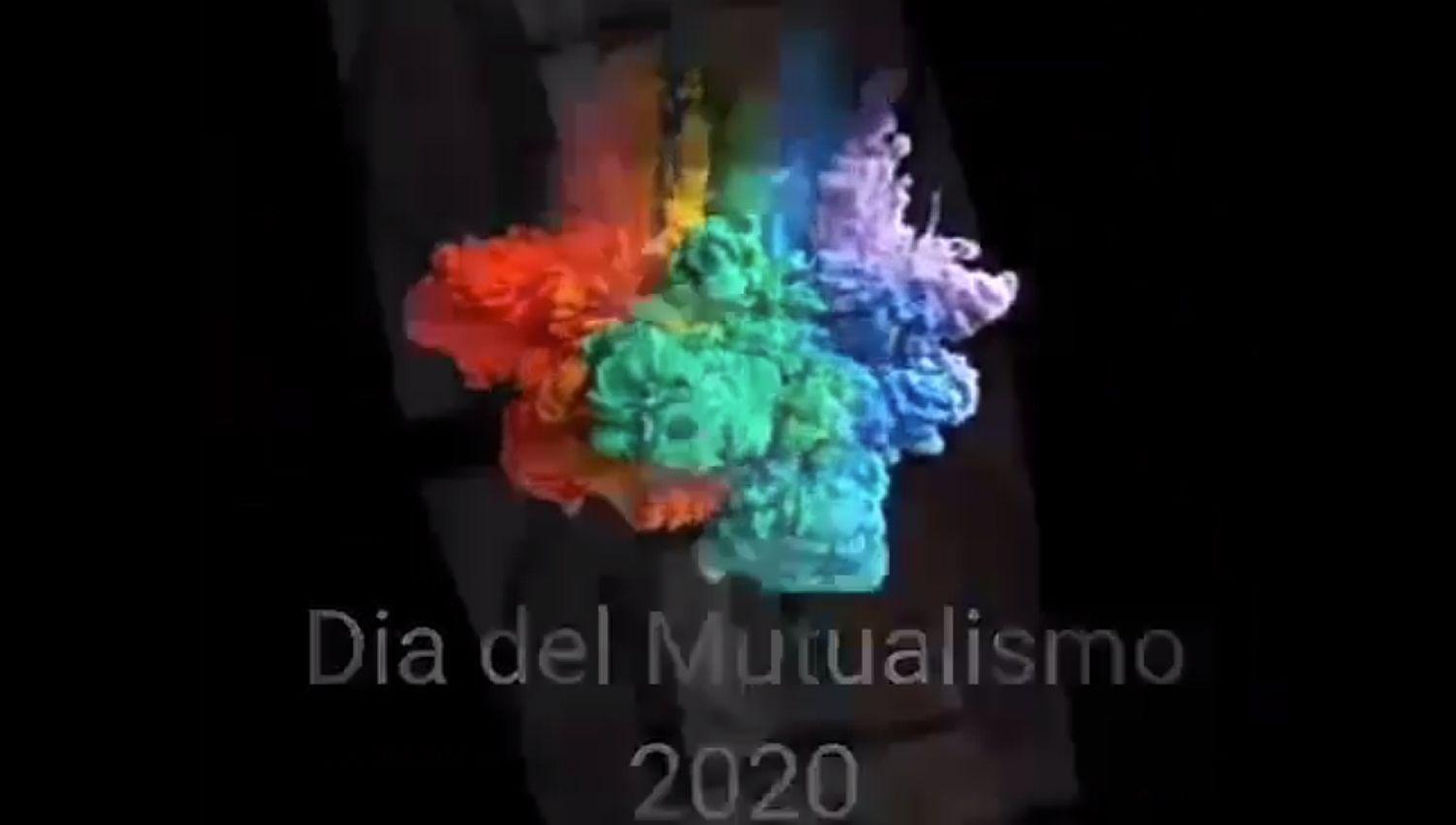 VIDEO  El Colegio Mutualista ldquoShishilordquo recordoacute el Diacutea del Mutualismo