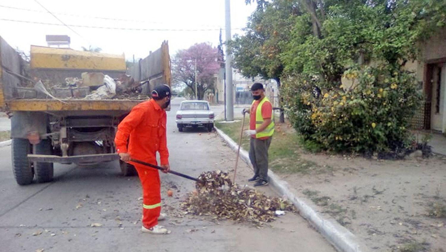 La Agencia de Desarrollo Regional fumigoacute en Pozuelos y Gramilla Vieja