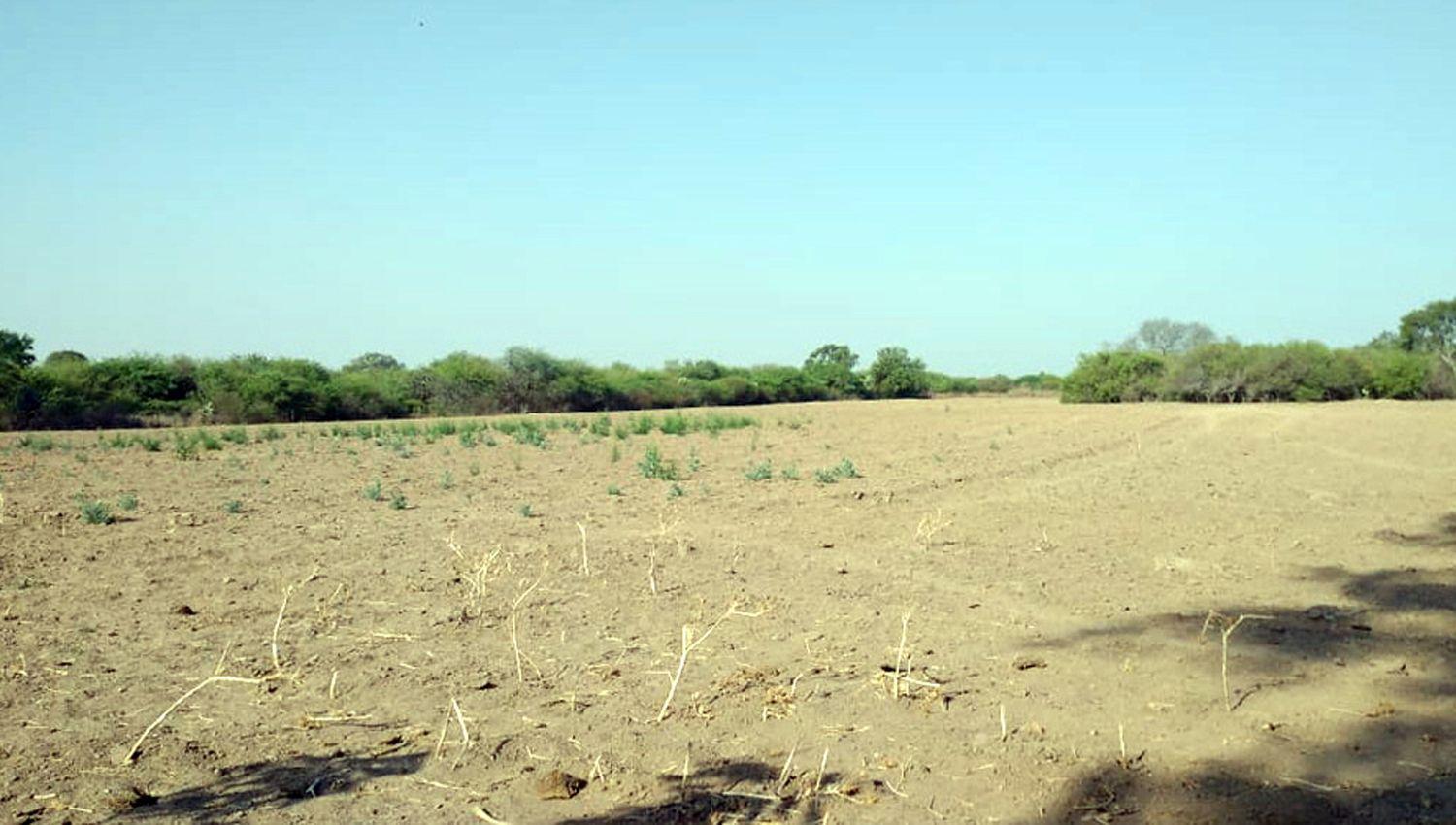 La falta de agua se hace sentir y los productores de Río Hondo ven esta situación con preocupación