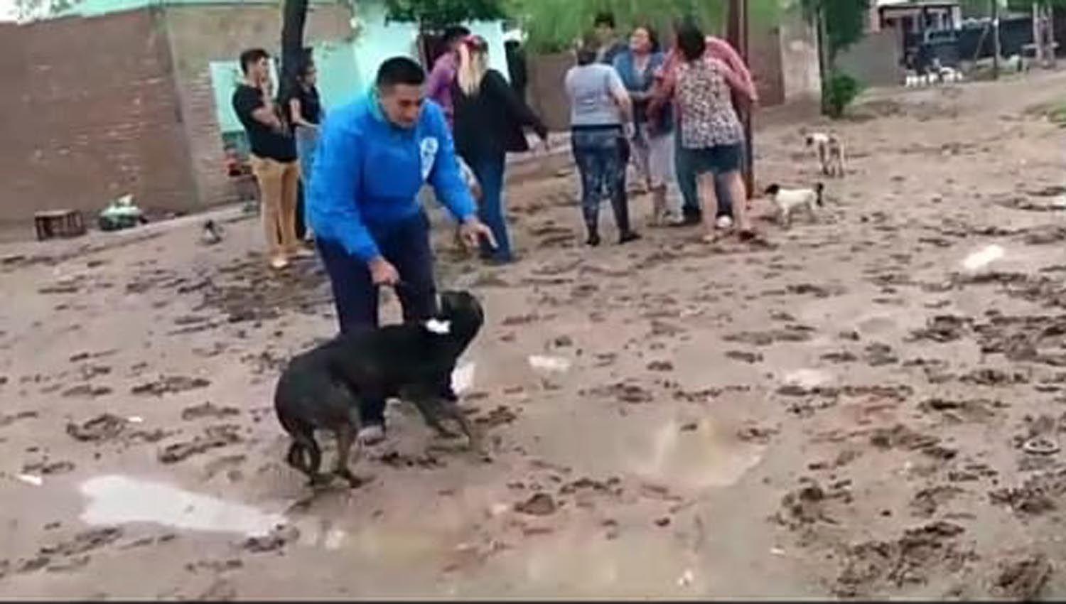 Tras un conflicto vecinal un joven apuntildealoacute a un perro