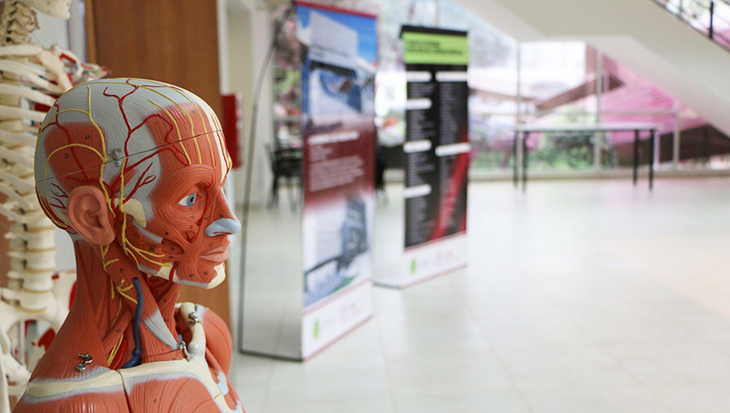 Facultad de Ciencias Meacutedicas- es inminente  la inauguracioacuten del  Centro de Simulacioacuten