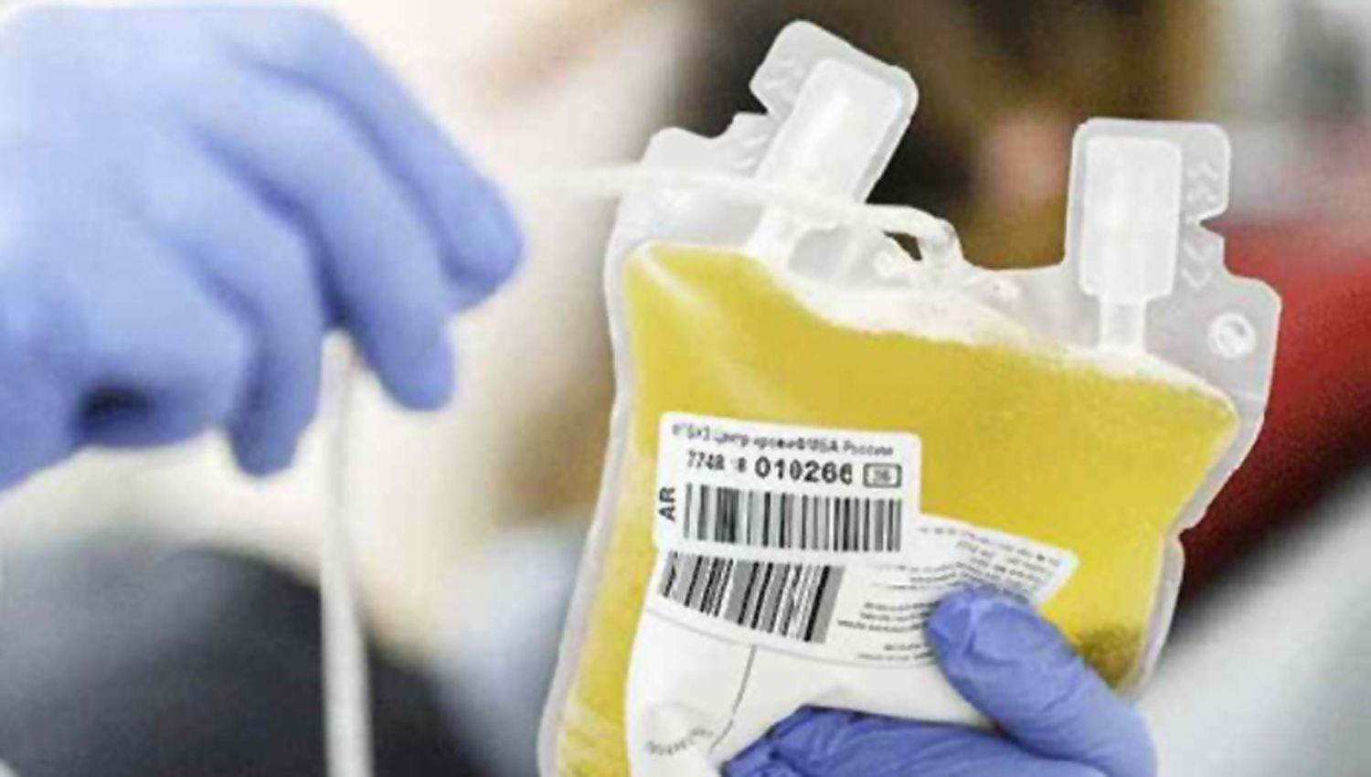 Queacute dicen los estudios argentinos sobre el plasma de convaleciente