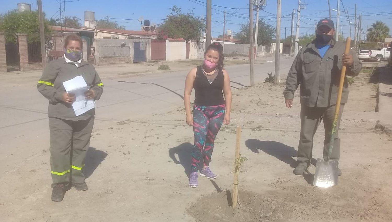 Sombra para los barrios 30 40 y 50 Viviendas y Nuestra Sentildeora de la Paz
