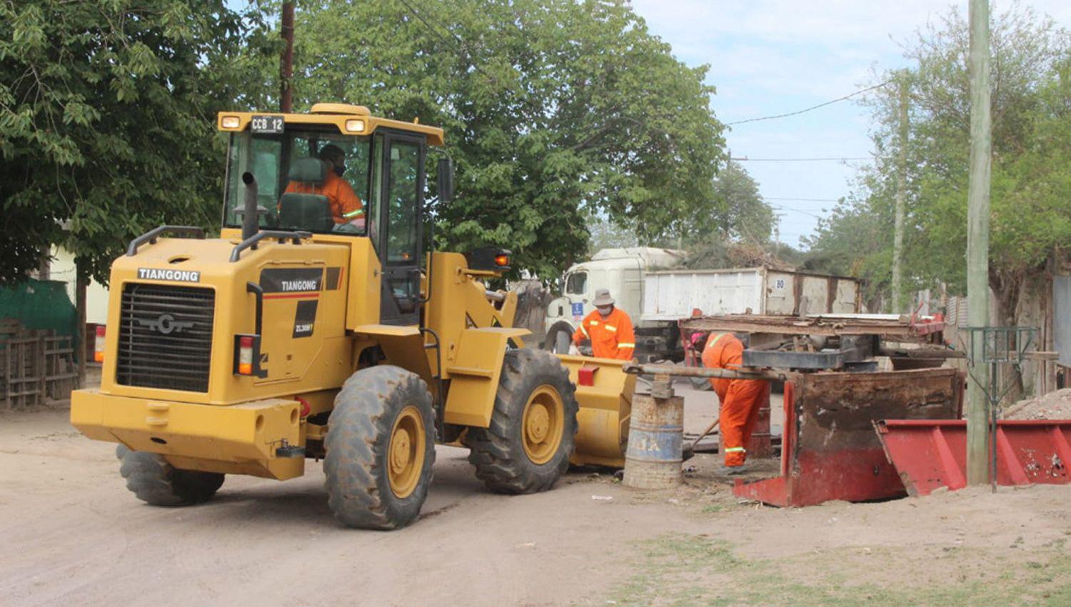 Se eliminarn elementos donde se acumule agua para que no se reproduzcan los mosquitos