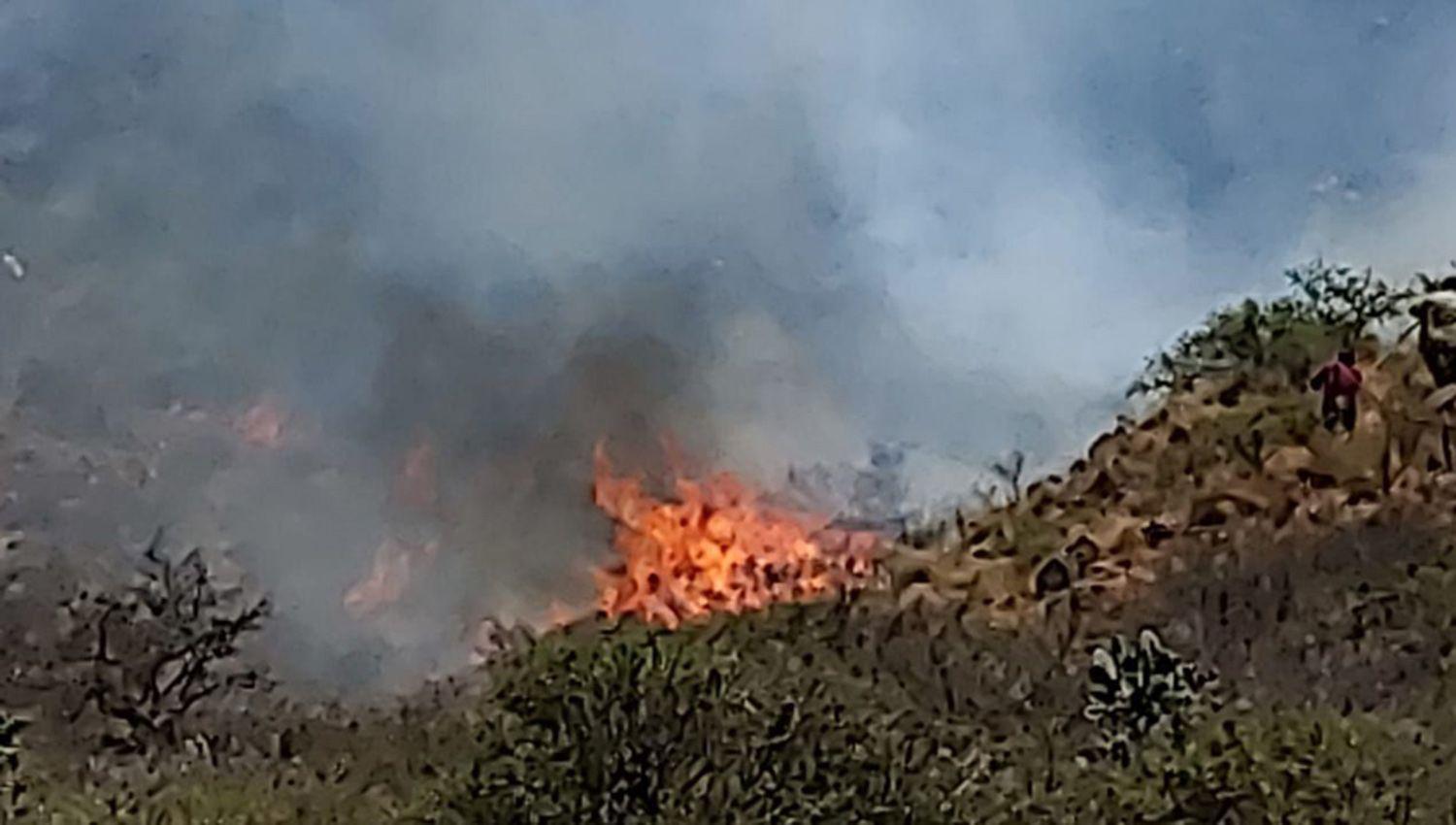 Dantildeos materiales en campos alambrados y muerte de ganado dejoacute un incendio forestal sobre la ruta 13