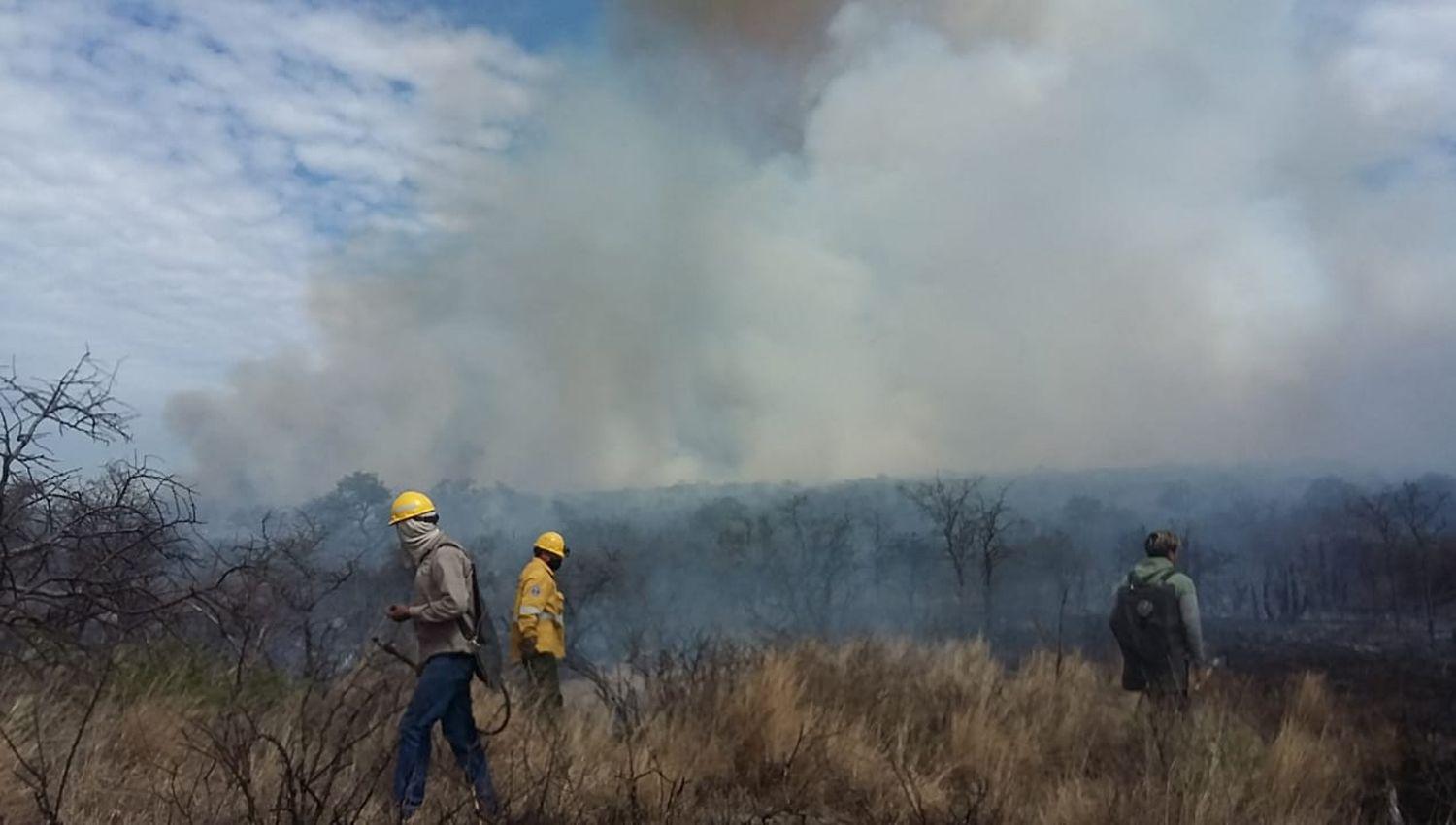 VIDEO E IMAacuteGENES  Nuevos incendios de campos en Ojo de Agua