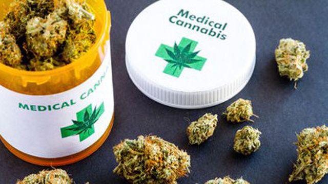 ldquoQueremos que el cannabis medicinal deje de ser ilegal para llevar tranquilidad a los usuariosrdquo