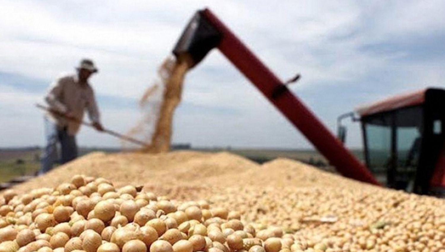 Empresa china compraraacute soja por us500 millones