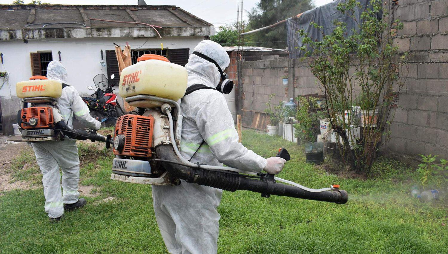 Mantildeana retoman tareas de prevencioacuten contra el dengue