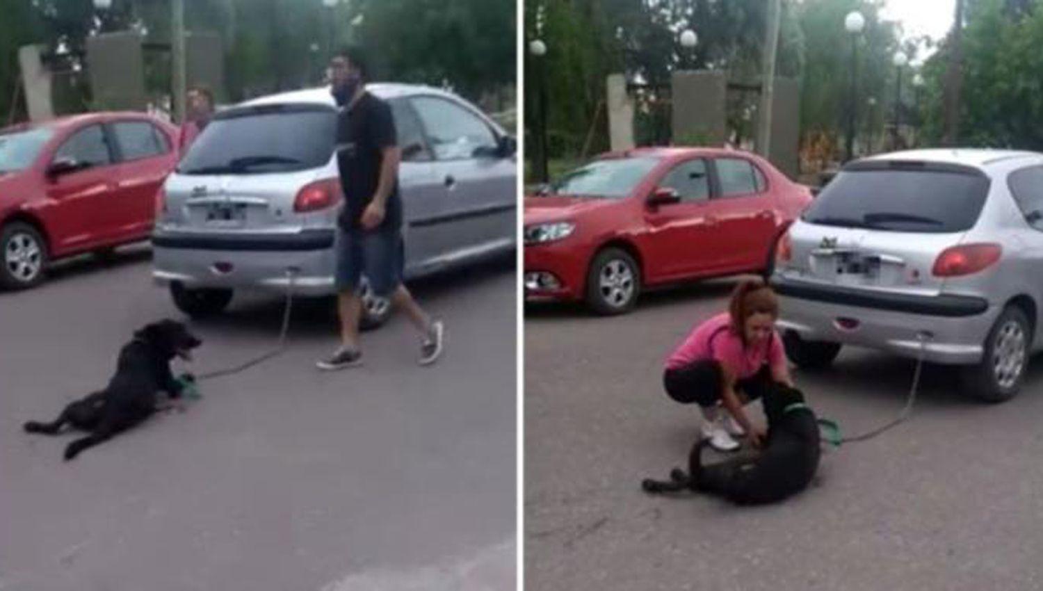 Una maestra encadenoacute a su perro al auto y lo arrastroacute siete cuadras
