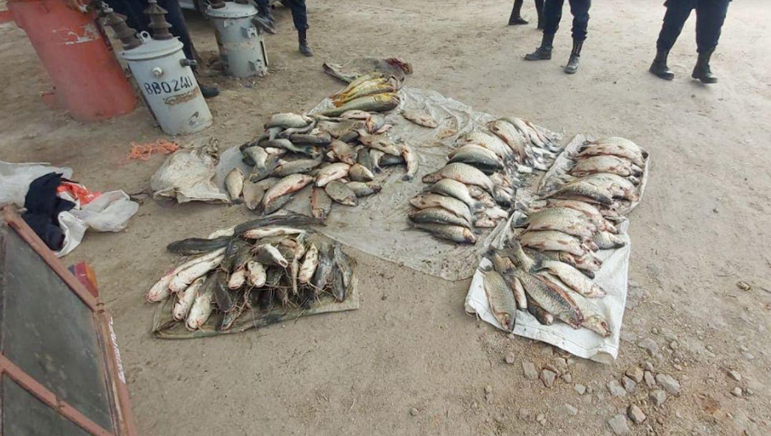 Estacioacuten Robles- Secuestraron 191 peces y redes prohibidas