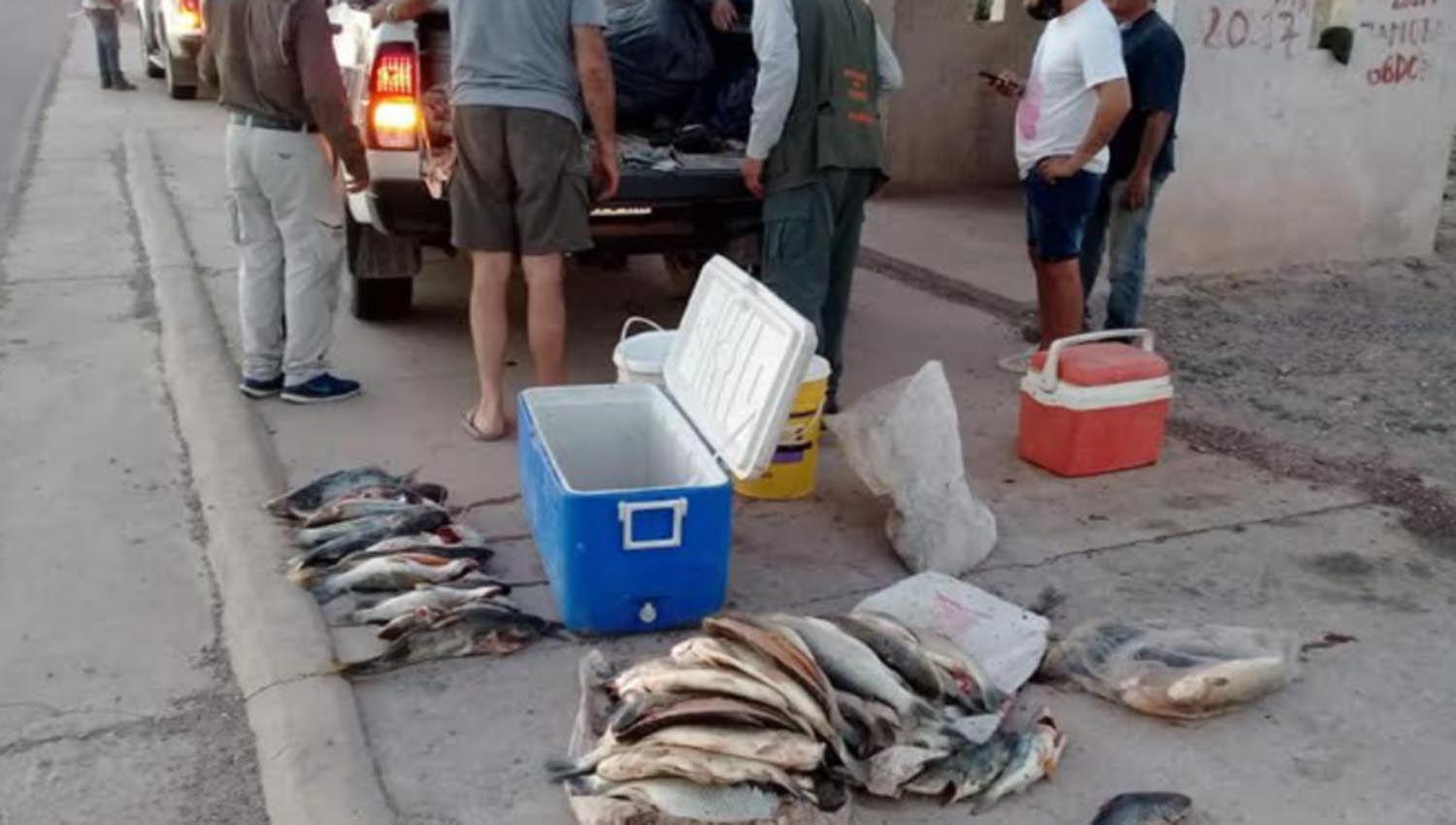 Desde el Ministerio de Produccioacuten se intensifican los controles de pesca