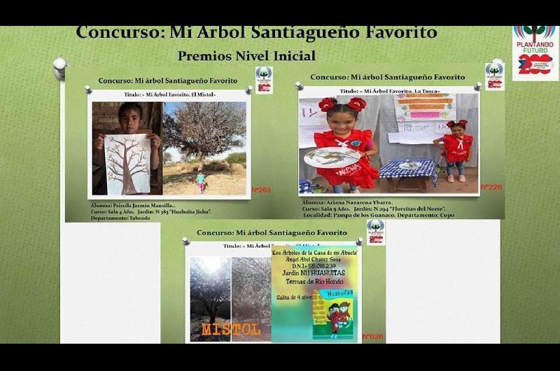 ldquoPlantando futurordquo dio a conocer los alumnos ganadores del concurso ldquoMi aacuterbol santiaguentildeo favoritordquo