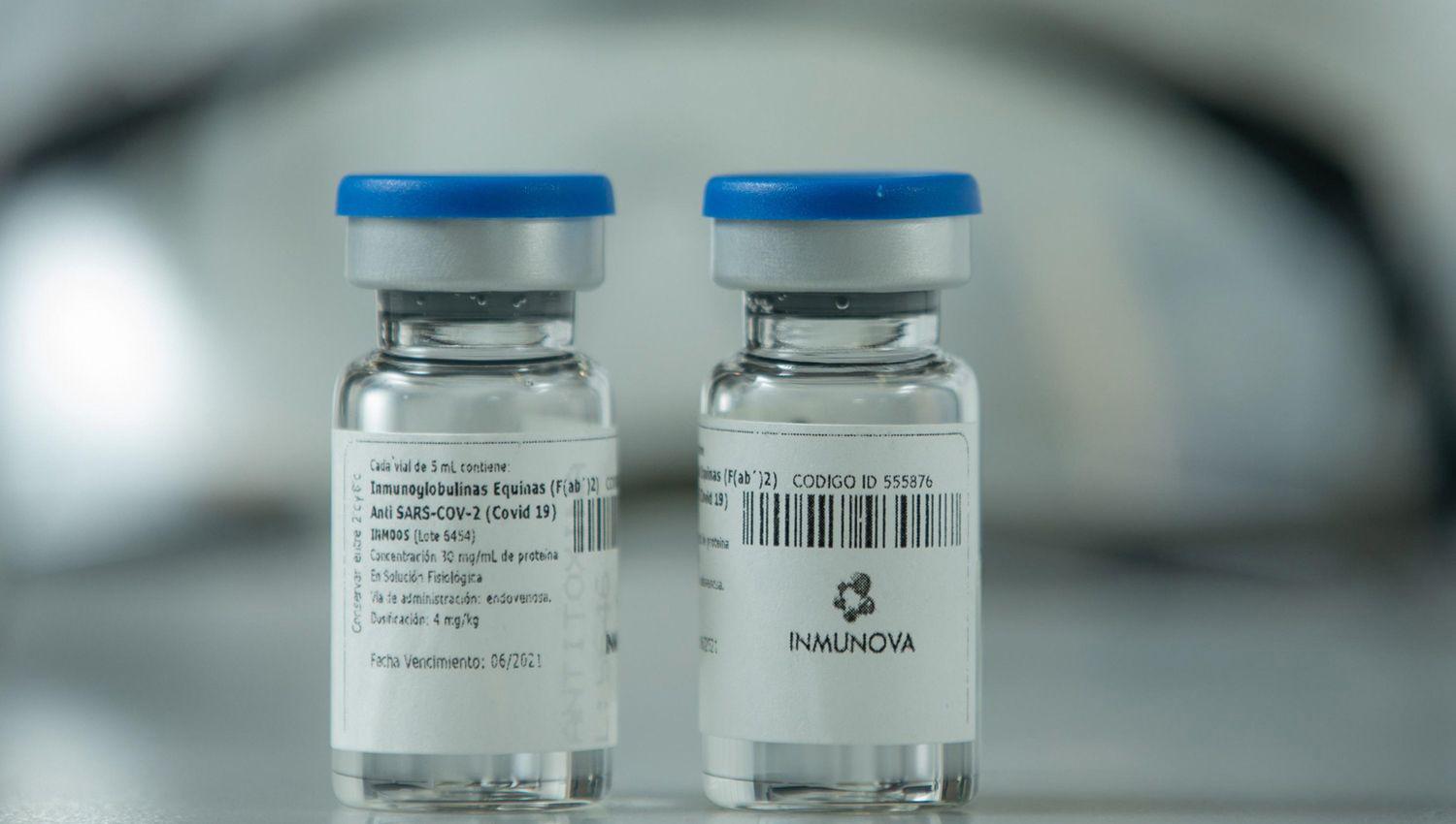 La Anmat autorizoacute el suero equino para el tratamiento de Covid